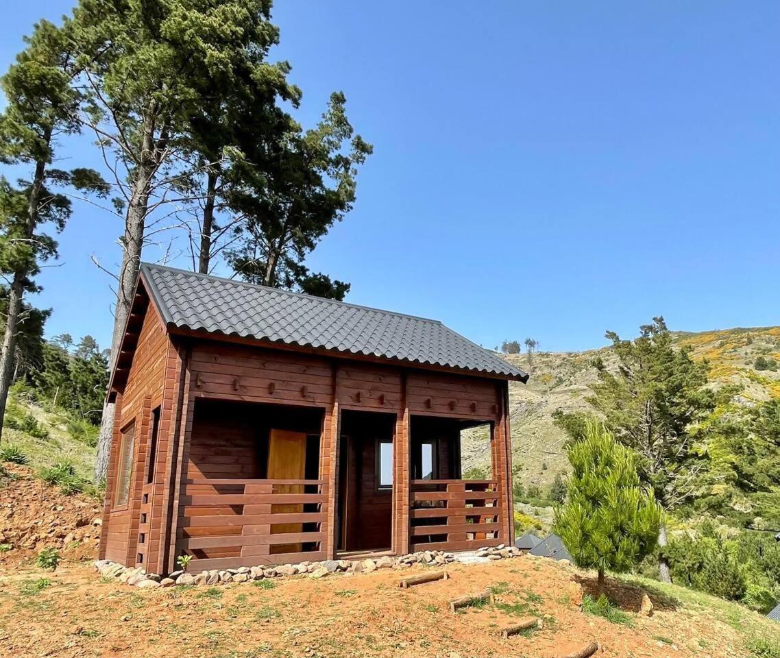 Mountain Eco Shelter 6 Hotell Funchal  Eksteriør bilde