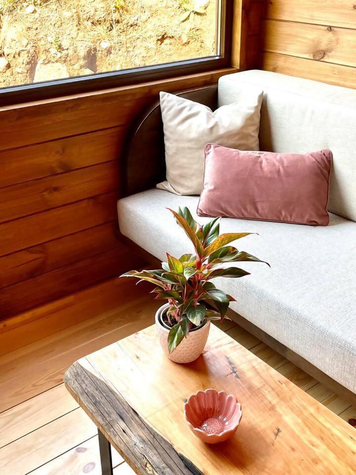 Mountain Eco Shelter 6 Hotell Funchal  Eksteriør bilde